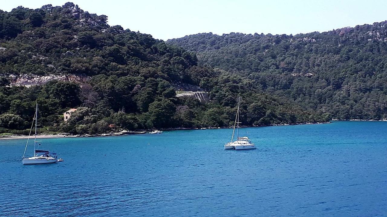 Apartman Sponga