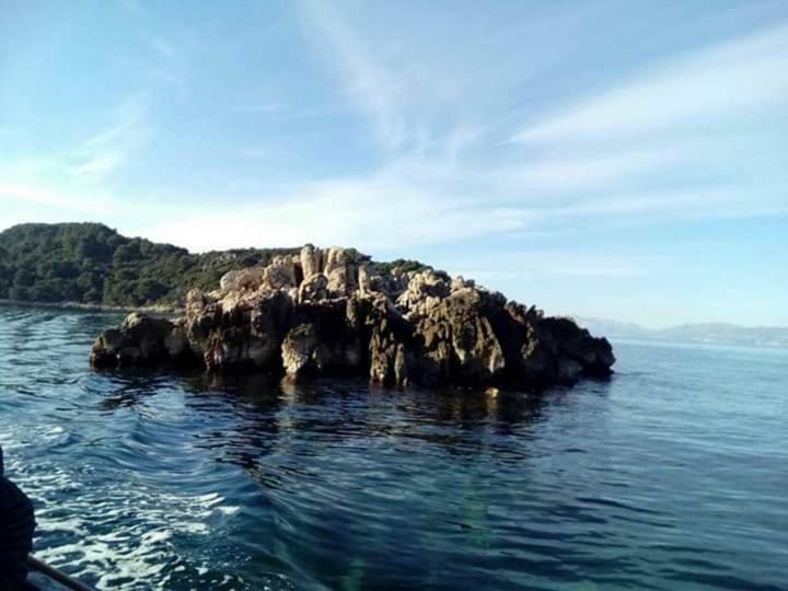 Apartment Sponga *